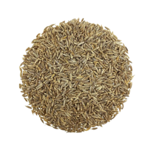 cumin