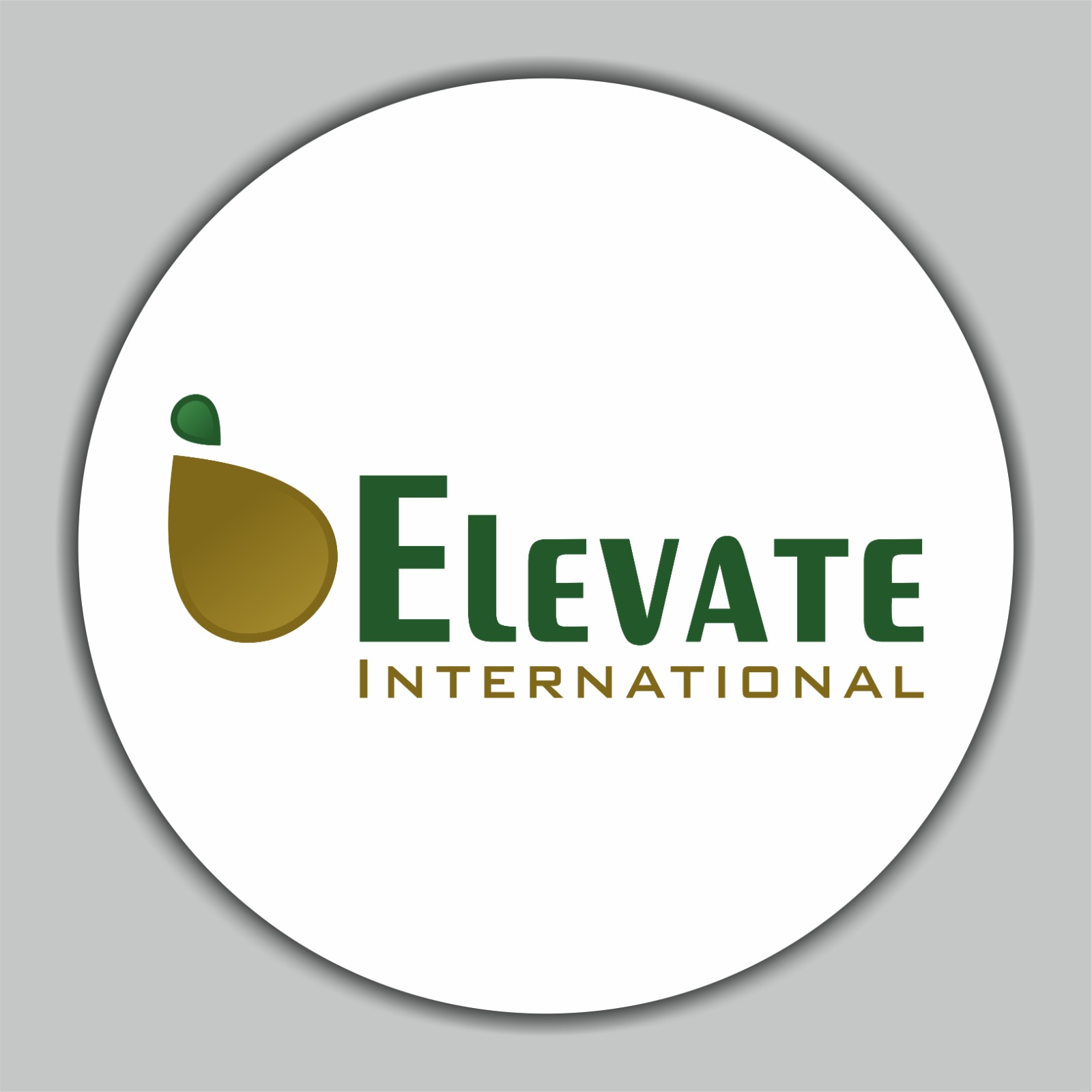 Elevate Logo