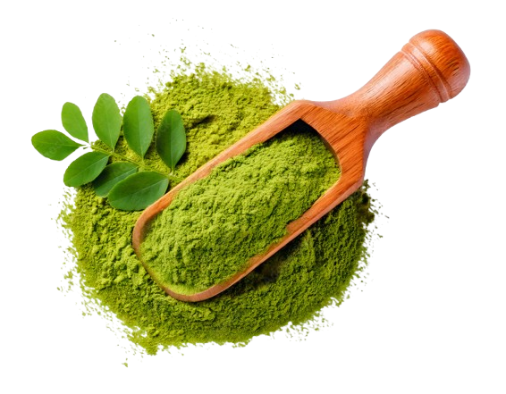 moringa powder exporter India